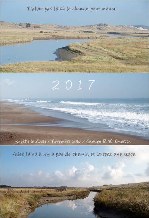 Voeux 2017