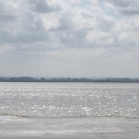 Baie de Somme - Avril 2017