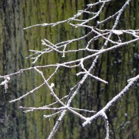 Paris - 31 décembre 2016
