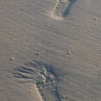 Traces normandes - Juillet 2017