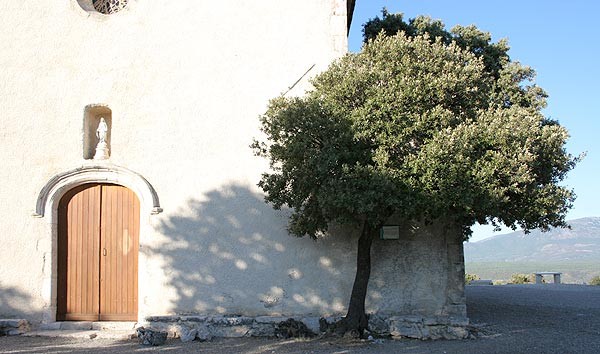 baudinard3