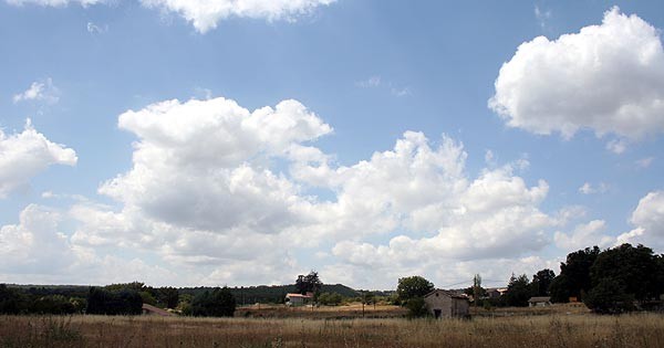 salagon3