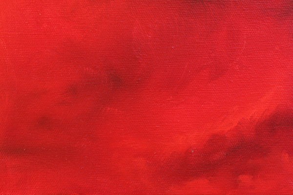 22 rouge cat