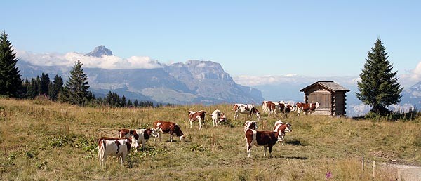 combloux19