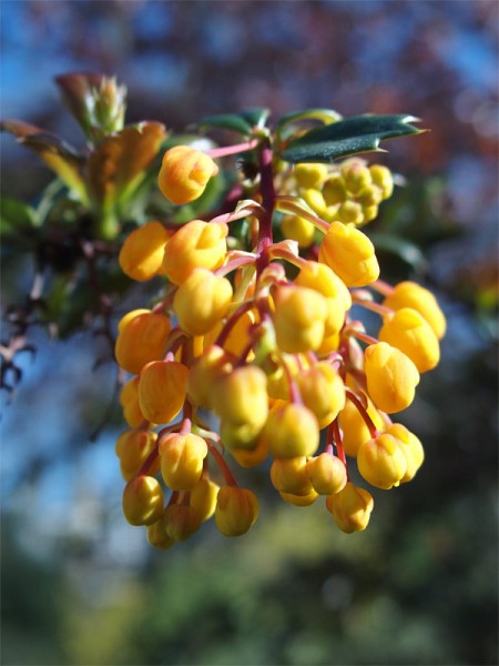 P4030582