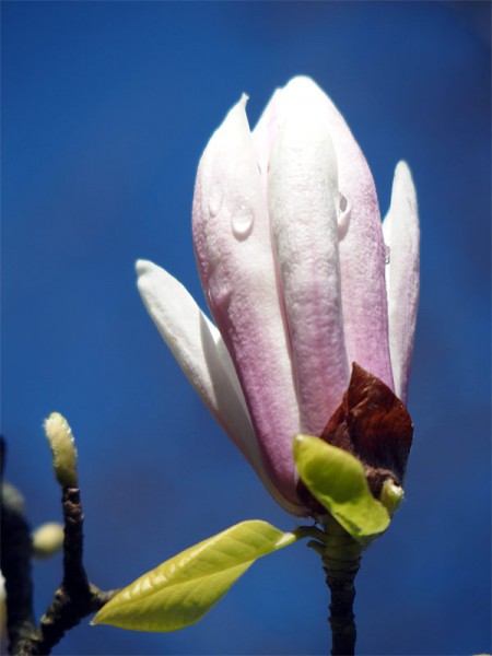 P4030588