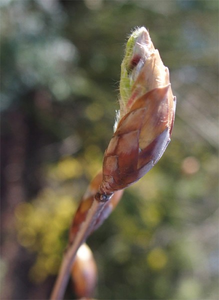 P4030620