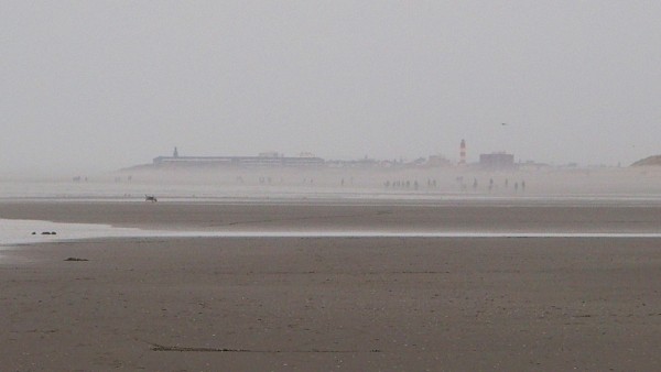 P2221288 web