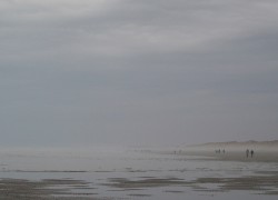 P2221305 web
