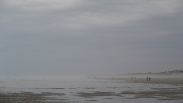 P2221305 web