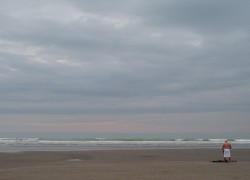 P2221317 web