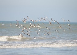 P2231358 web