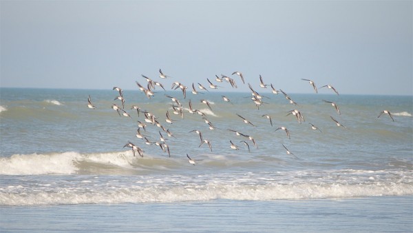 P2231358 web