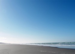 P2231400 web
