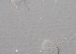P2231401 web