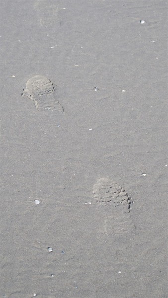 P2231401 web