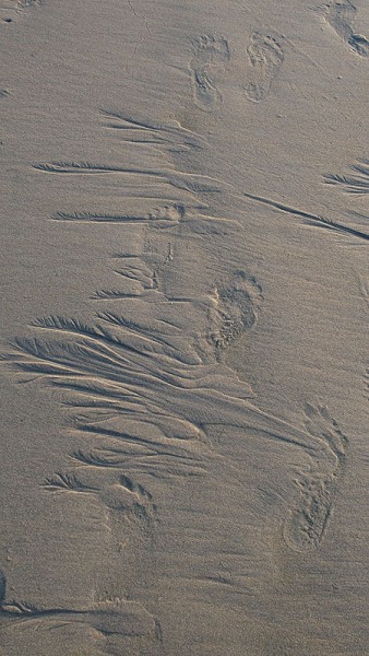 web P7252645