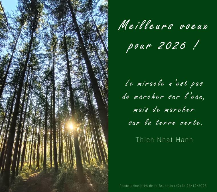 meilleurs voeux 2026